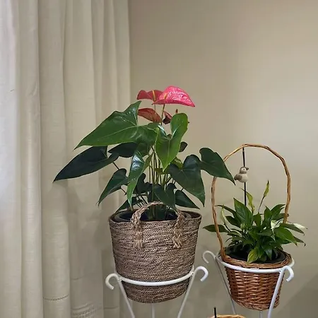 Vakantiehuis Refugio Da Mariana - Geres Terras de Bouro