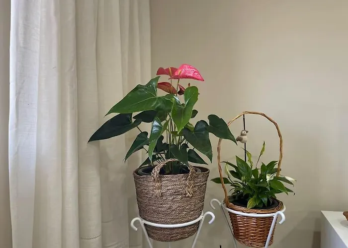 펜션 Refugio Da Mariana - Geres 테라스 드 부로