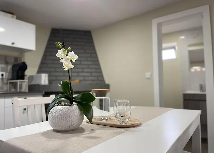 Refugio Da Mariana - Geres 테라스 드 부로